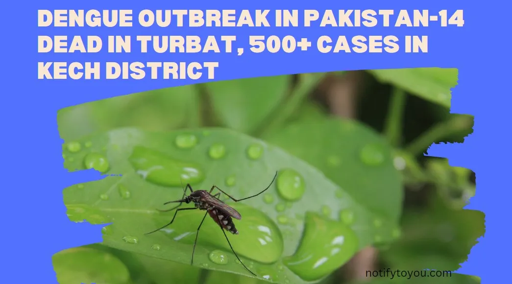 Dengue Outbreak in Pakistan